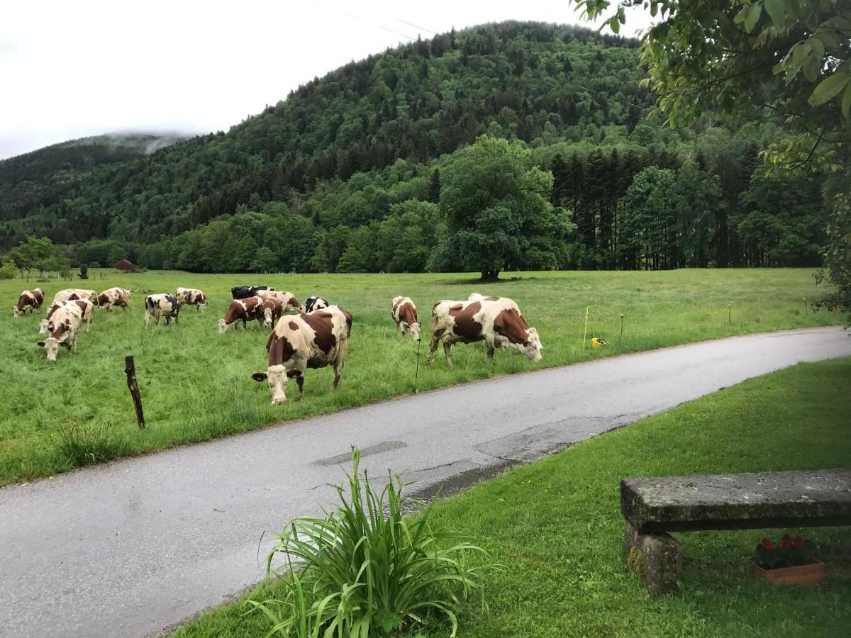 De La Mesange Holiday home Rochesson