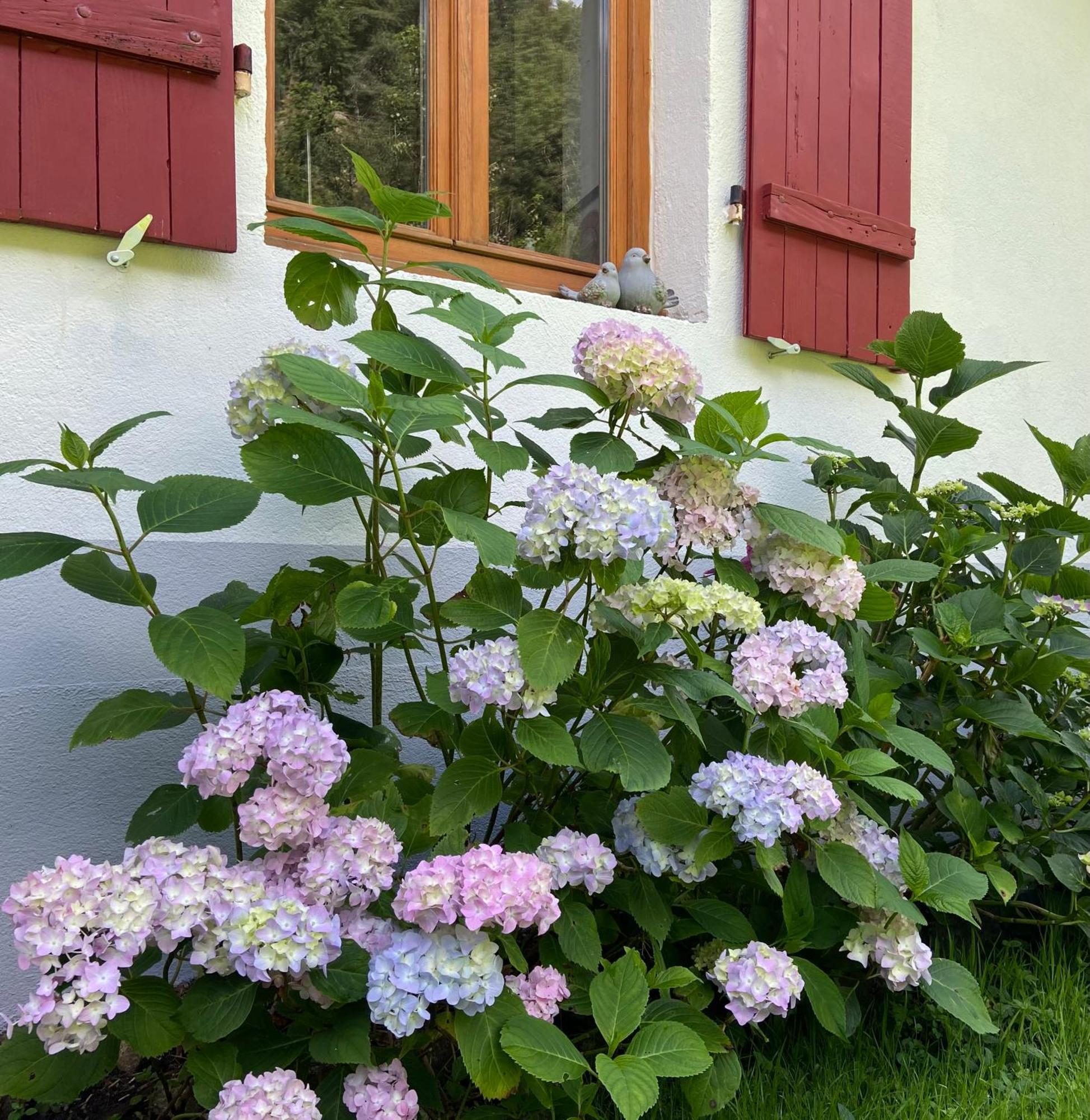 De La Mesange Holiday home Rochesson
